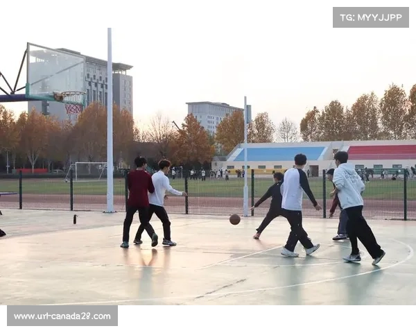 焦作市坚持做强以篮球为主的球类产业